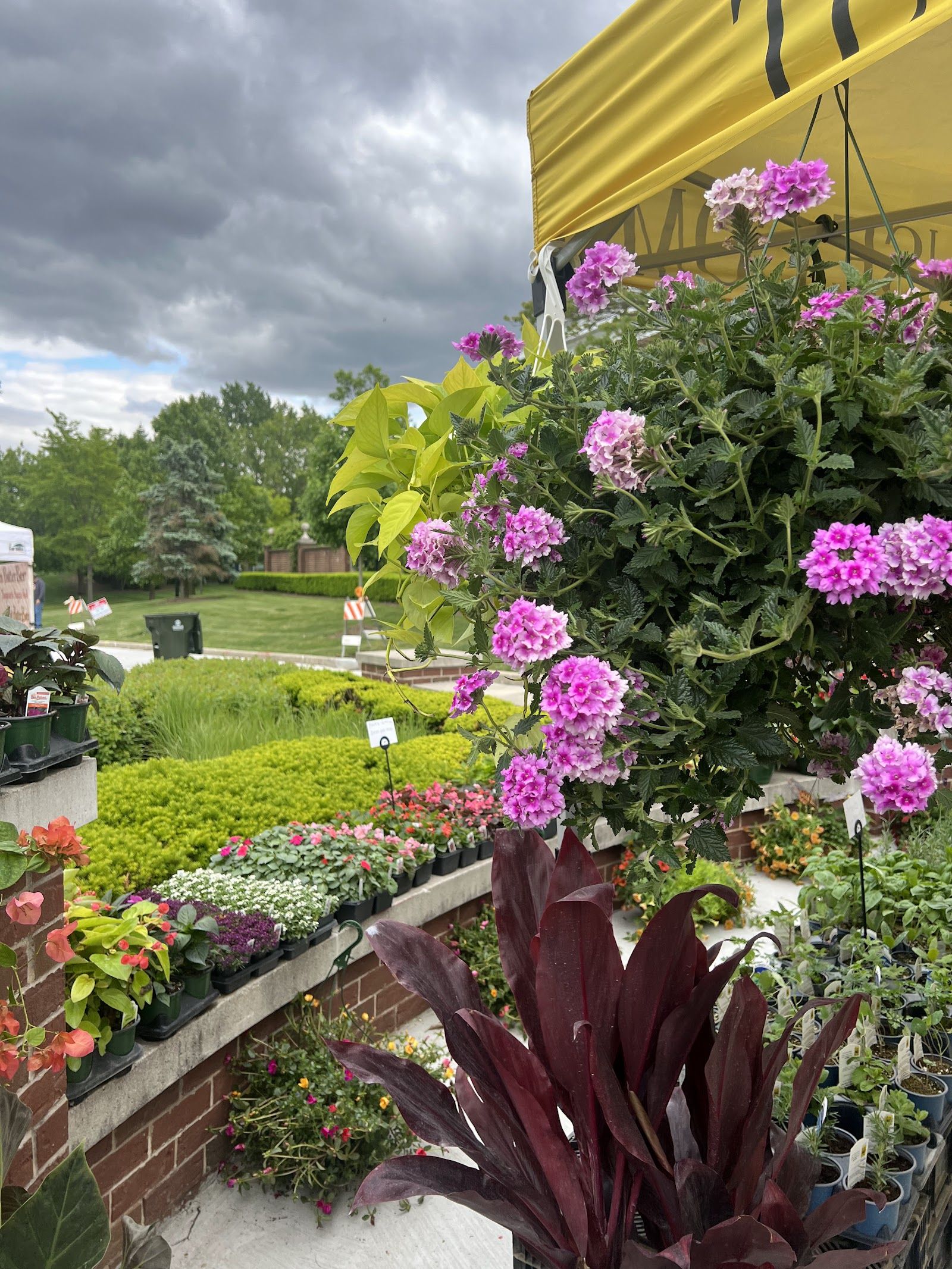 Scene from New Lenox Farmers Market