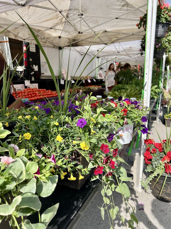 Hanging flowers and produce under a market tent