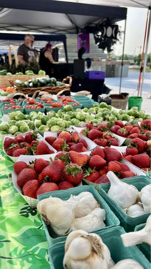 Chicago Street Farmers Market scene