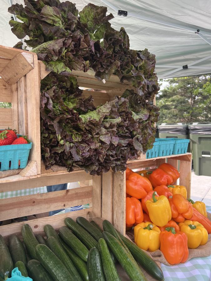 Crates of cucumbers, peppers, and leaf lettuce