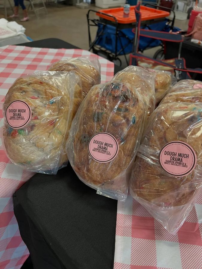 Fresh baked bread and bagels on a checkered cloth